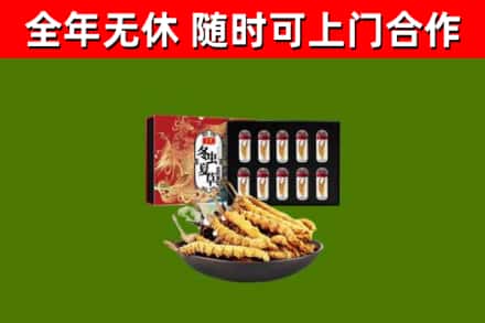 日照市回收冬虫夏草价格